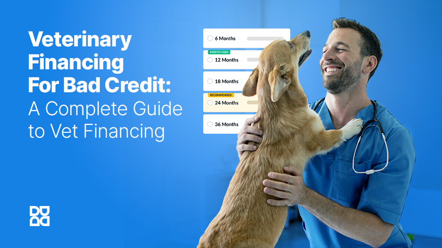 Veterinary Financing No Credit Check Denefits